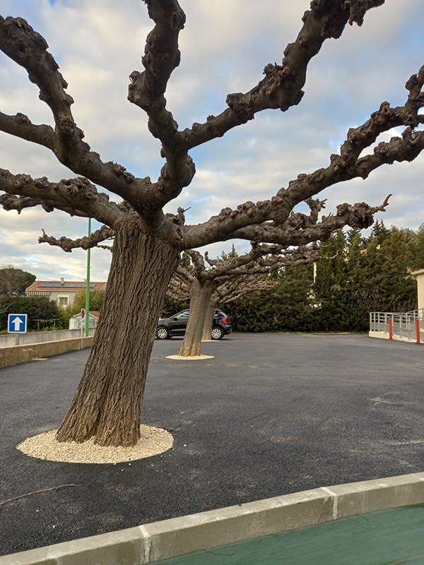 Parking clinique veterinaire du DELTA Saint-Gilles